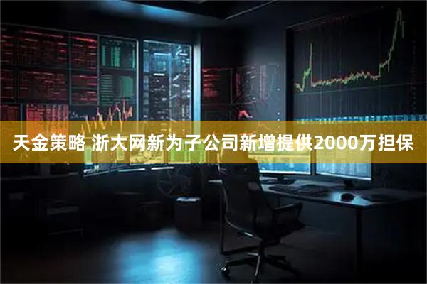天金策略 浙大网新为子公司新增提供2000万担保