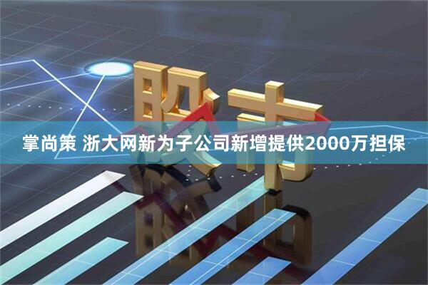 掌尚策 浙大网新为子公司新增提供2000万担保