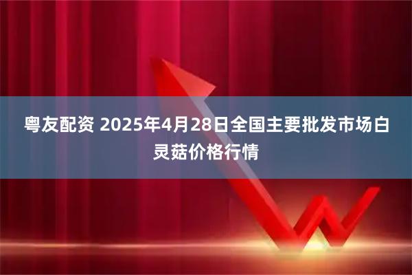 粤友配资 2025年4月28日全国主要批发市场白灵菇价格行情