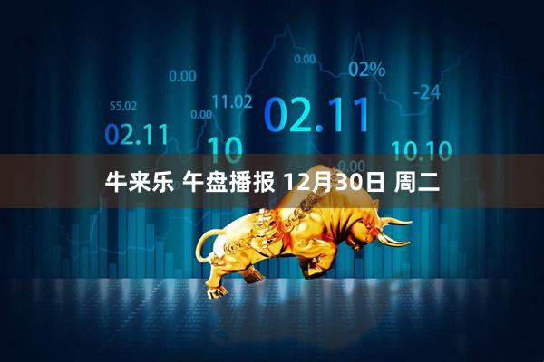 牛来乐 午盘播报 12月30日 周二