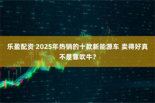 乐盈配资 2025年热销的十款新能源车 卖得好真不是靠吹牛？
