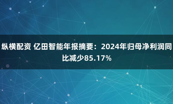 纵横配资 亿田智能年报摘要：2024年归母净利润同比减少85.17%