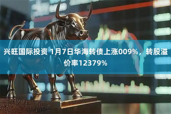 兴旺国际投资 1月7日华海转债上涨009%，转股溢价率12379%